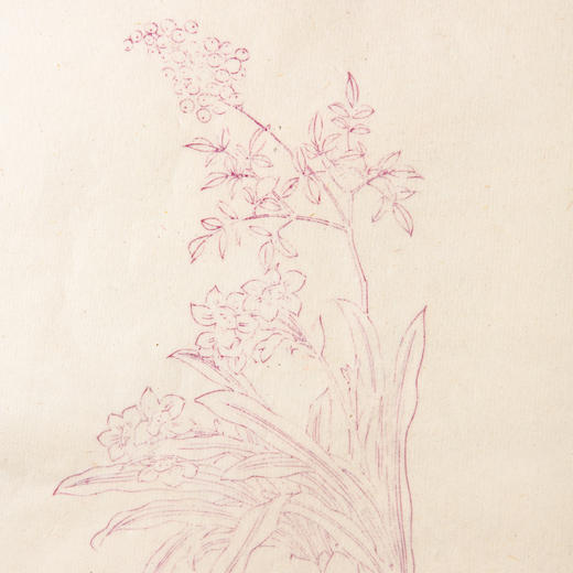 80-90年代朵云轩制木版水印《明清画笺》老信笺（一包36张） 商品图5