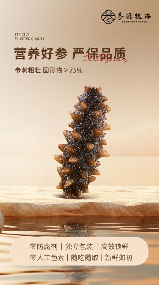 （海参）参味鲜食（2-5斤装）【GY】 商品图2