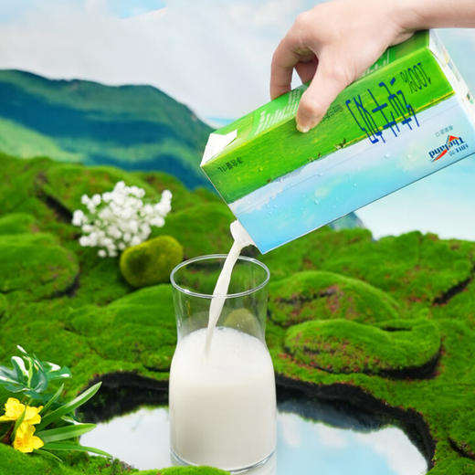 纽仕兰牧场全脂牛奶250ml-1L 商品图4