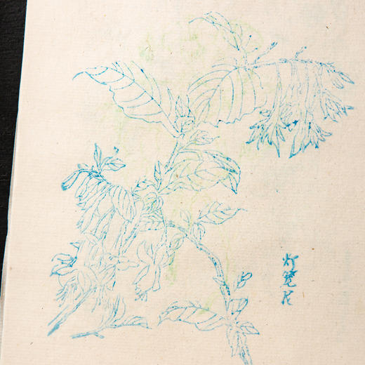 80-90年代中国安徽歙县文房四宝公司制木版水印《百花笺》（一包50张） 商品图5