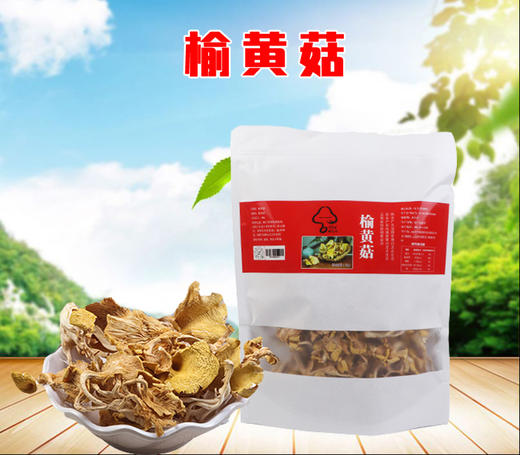 榆黄菇 80g 商品图1