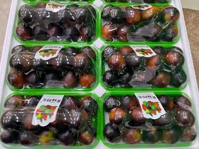 黑珍珠柿子一盒