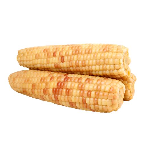 云南西双版纳花糯玉米A级1kg 商品图4