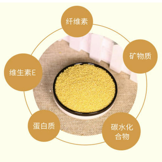 云南梯田小米485g 商品图4