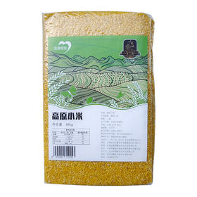 云南梯田小米485g