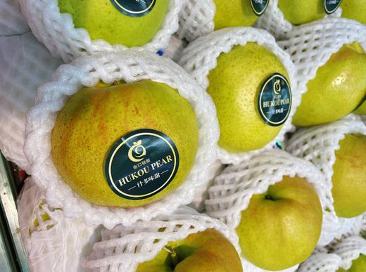 精品玉露梨3斤 商品图0