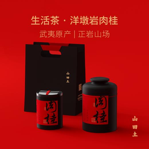 山田土 武夷山洋墩岩肉桂 商品图0