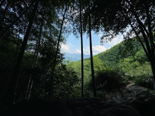 BAM【见山】2 天 1 夜章里古道徒步，夜宿山野水涧 商品图1