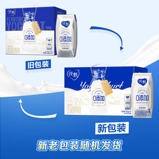DH 纯甄0添加巴氏杀菌热处理原味风味酸奶利乐钻200g×10包（加长箱） 商品图5