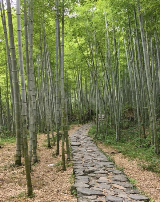 BAM【见山】2 天 1 夜章里古道徒步，夜宿山野水涧 商品图2