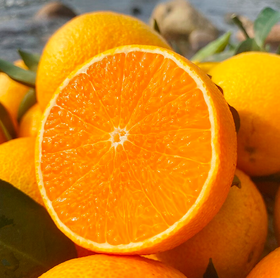 云南爱媛果冻橙（5个装）