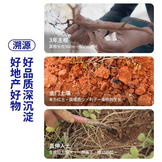 金门一条根 薰衣草滚珠涂抹液 15g/瓶 商品图2