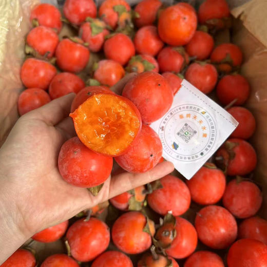 珍珠柿 流心 超甜柿子 商品图5
