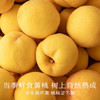 南食召 本真黄桃罐头 商品缩略图3