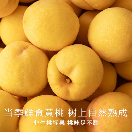 南食召 本真黄桃罐头 商品图3
