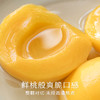南食召 本真黄桃罐头 商品缩略图2