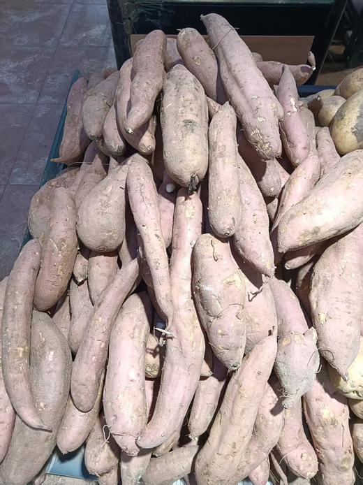 白瓤地瓜三斤 商品图1