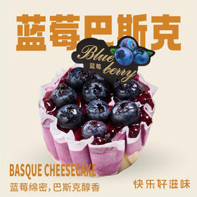 蓝莓鲜果巴斯克