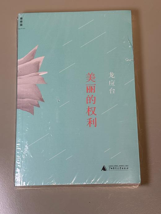 【JUE版】6种 银色仙人掌 美丽的权利 野火集 目送 亲爱的安德烈 孩子你慢慢来 商品图4