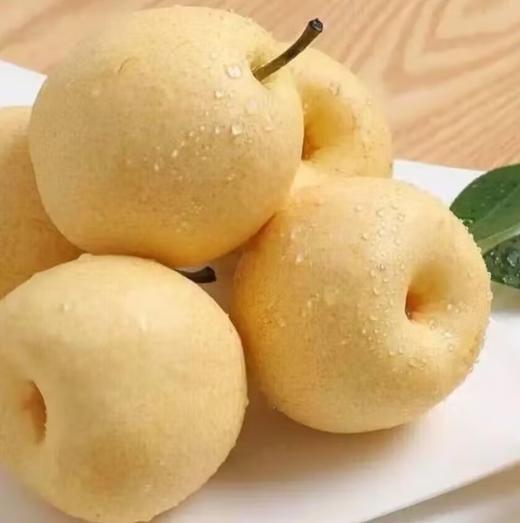 陕西蒲城香酥梨（4斤左右） 商品图0