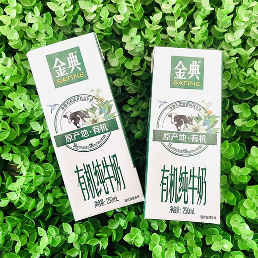 DH 伊利金典有机奶250ml*12盒（竖版外箱） 商品图1