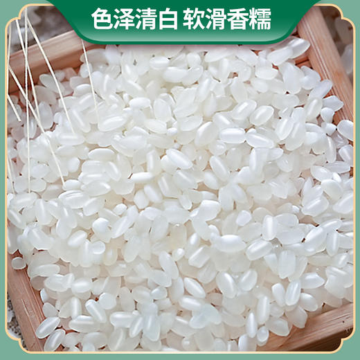 福临门苏软香大米5kg 商品图1