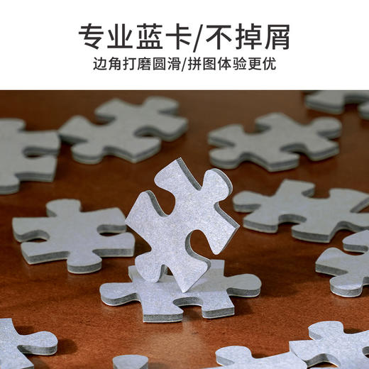 TOi图益-潮玩拼图浮光跃金系列-琉璃花窗-1000片-分包款 商品图7