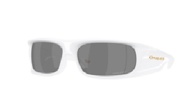 25OAKLEY太阳镜PERFORMANCE LIFESTYLE952202