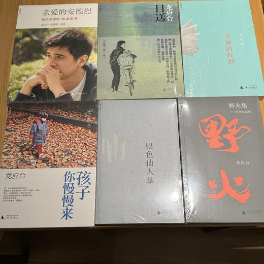 【JUE版】6种 银色仙人掌 美丽的权利 野火集 目送 亲爱的安德烈 孩子你慢慢来 商品图0