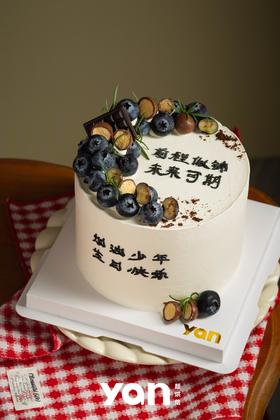 简约蓝莓-款式三