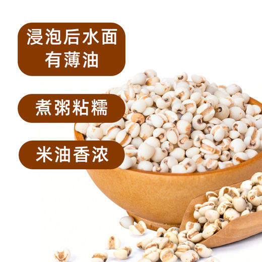 美村农场小薏米500g 商品图3