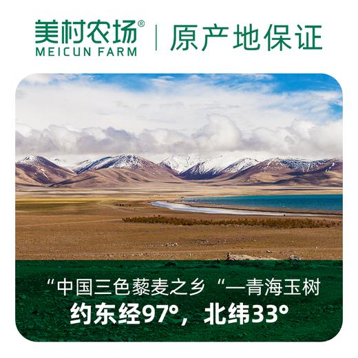 美村农场三色藜麦500g 商品图3