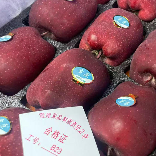 雪域苹果 约500g/份 商品图0