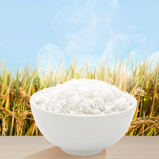 领冠有机五常大米2.5kg 商品图4