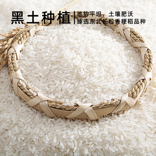 美村农场东北长粒香5kg 商品图4