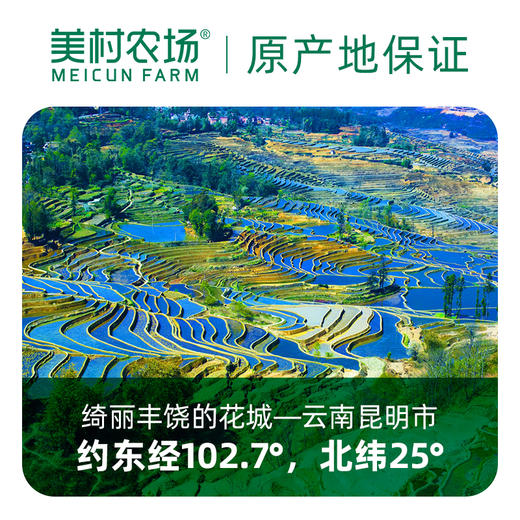 美村农场红豆500g 商品图2