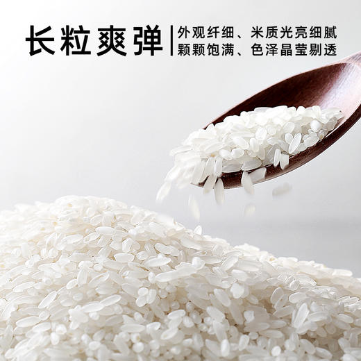 美村农场东北长粒香5kg 商品图2