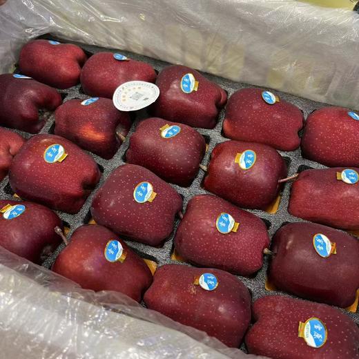 雪原花牛苹果 商品图4