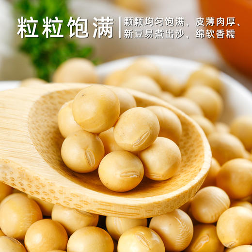 美村农场黄豆1kg 商品图3
