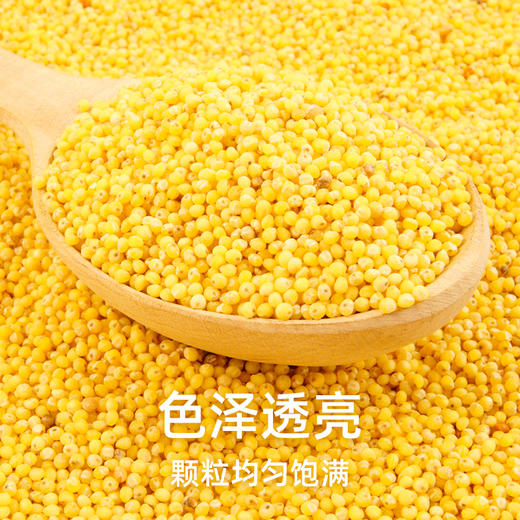 美村农场黄小米500g 商品图4