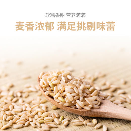 美村农场五谷杂粮1.6kg 商品图7