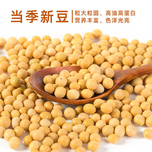 美村农场黄豆1kg 商品图2