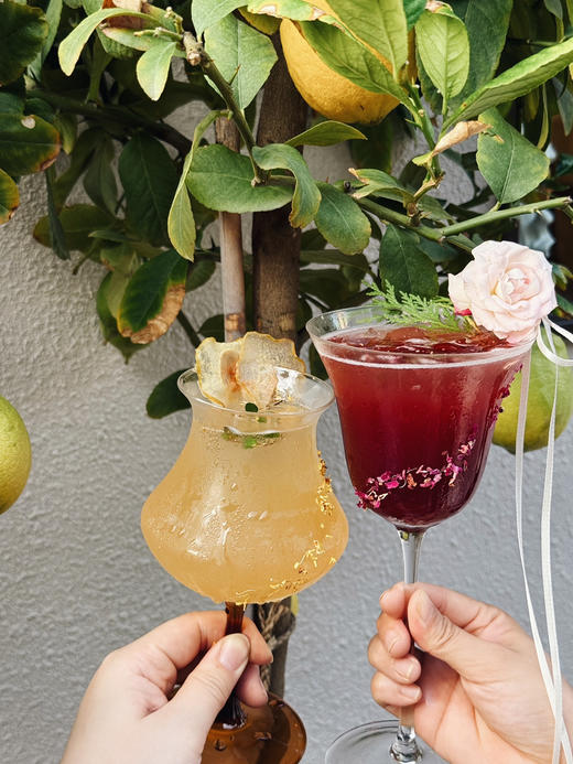 白玉露 商品图3