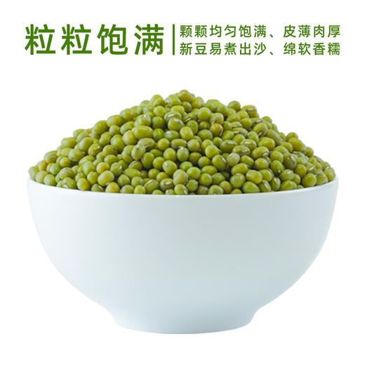 美村农场绿豆1kg 商品图3