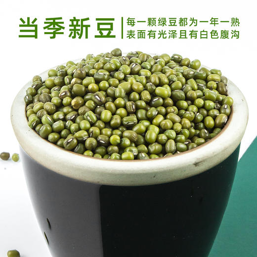 美村农场绿豆1kg 商品图2