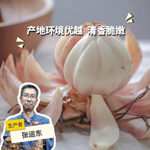 野生鲜百合（广东）  | 合作生产 *Wild fresh lily | Partner Production 商品图0