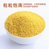 美村农场黄小米1kg 商品缩略图3