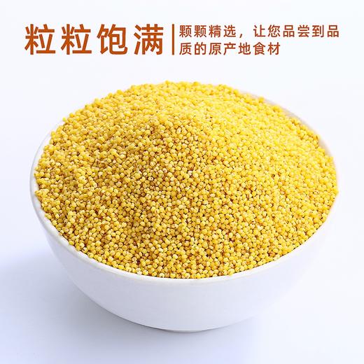 美村农场黄小米1kg 商品图3