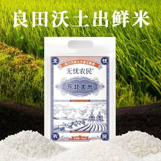 美村农场无忧农民 东北大米5kg 商品图2