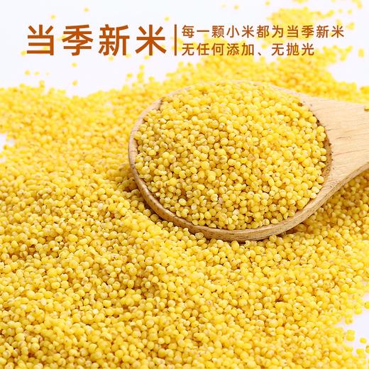 美村农场黄小米1kg 商品图2
